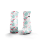 Flamingos
